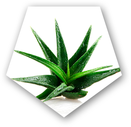 Detoxyn Aloe vera